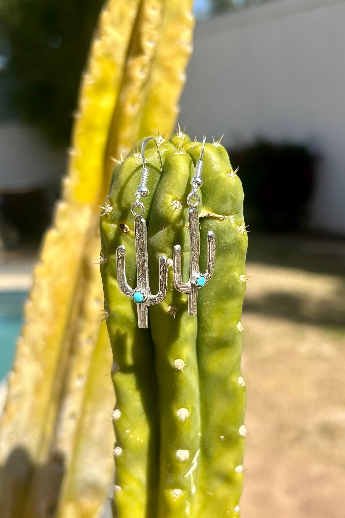 Cactus Earrings