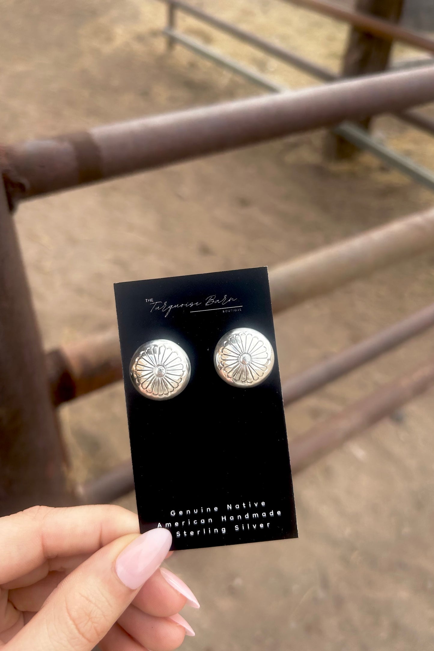 Silver Earrings