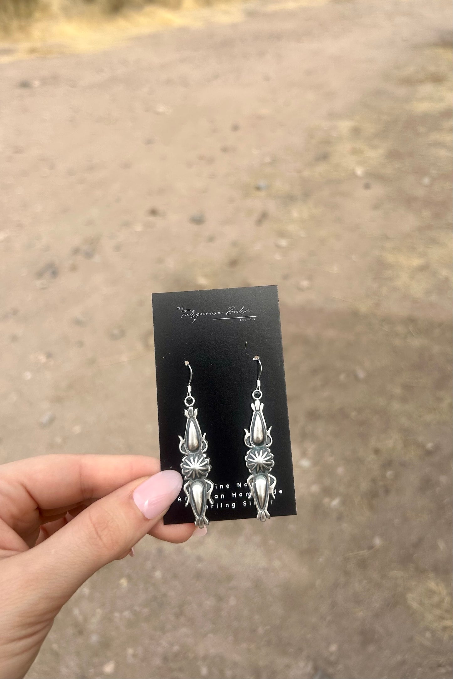 Silver Dangle Earrings