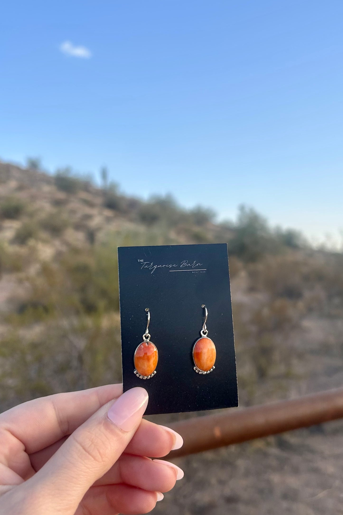 Spiny Dangle Earring