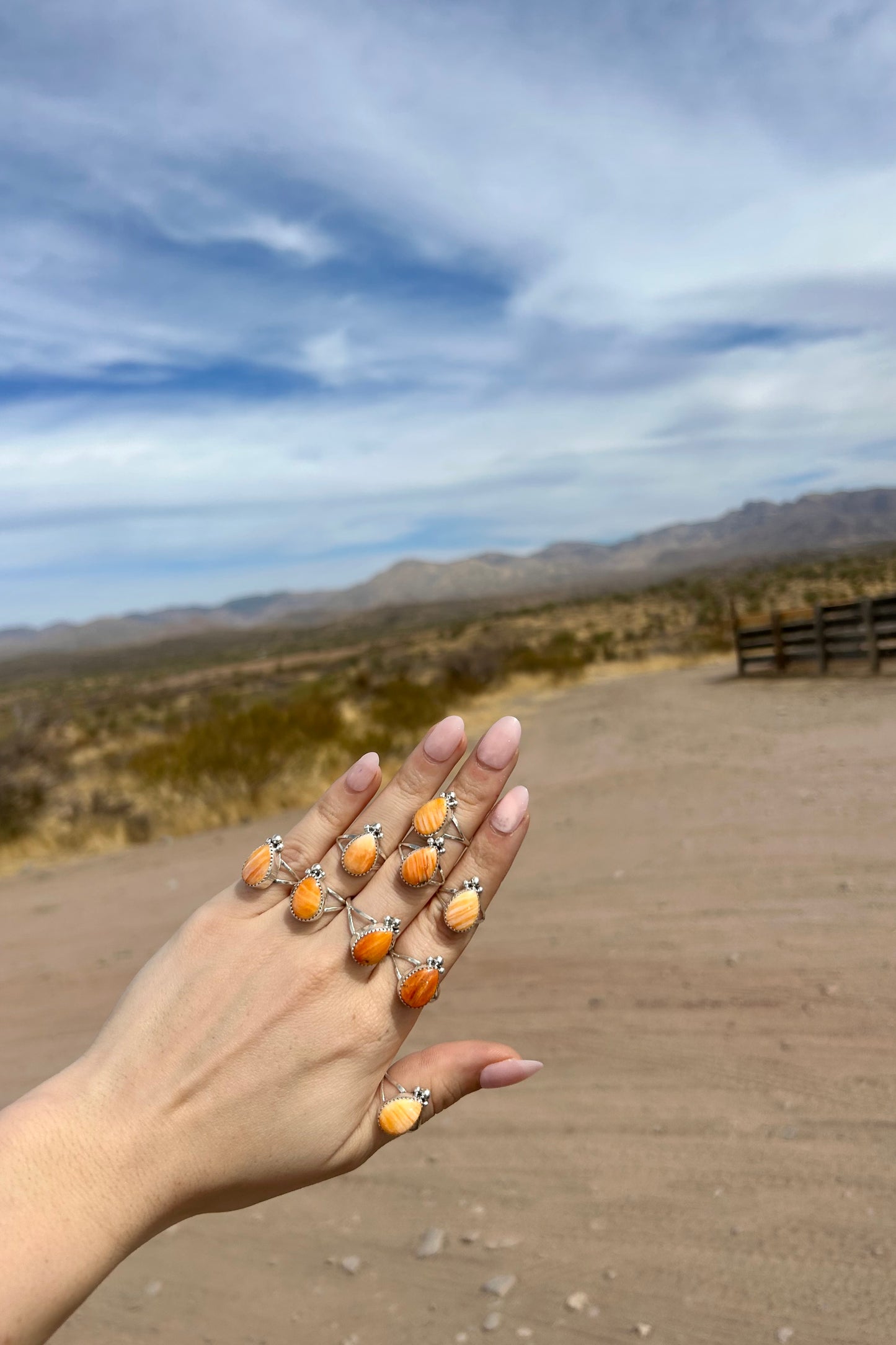 Spiny Rings
