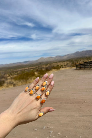 FOREVER TURQUOISE ❖ Spiny Rings