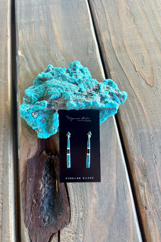 TURQUOISE FAVORITES ❖ Cloud Mountain & Black Jet Earrings