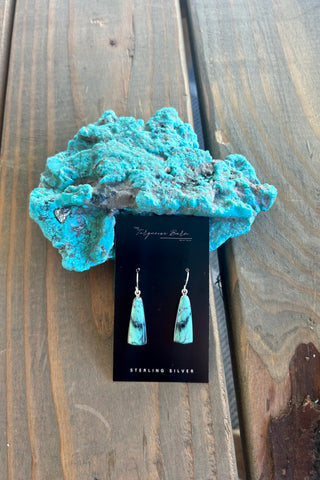 EVERYDAY TURQUOISE ❖ Black Canyon Variscite Earrings