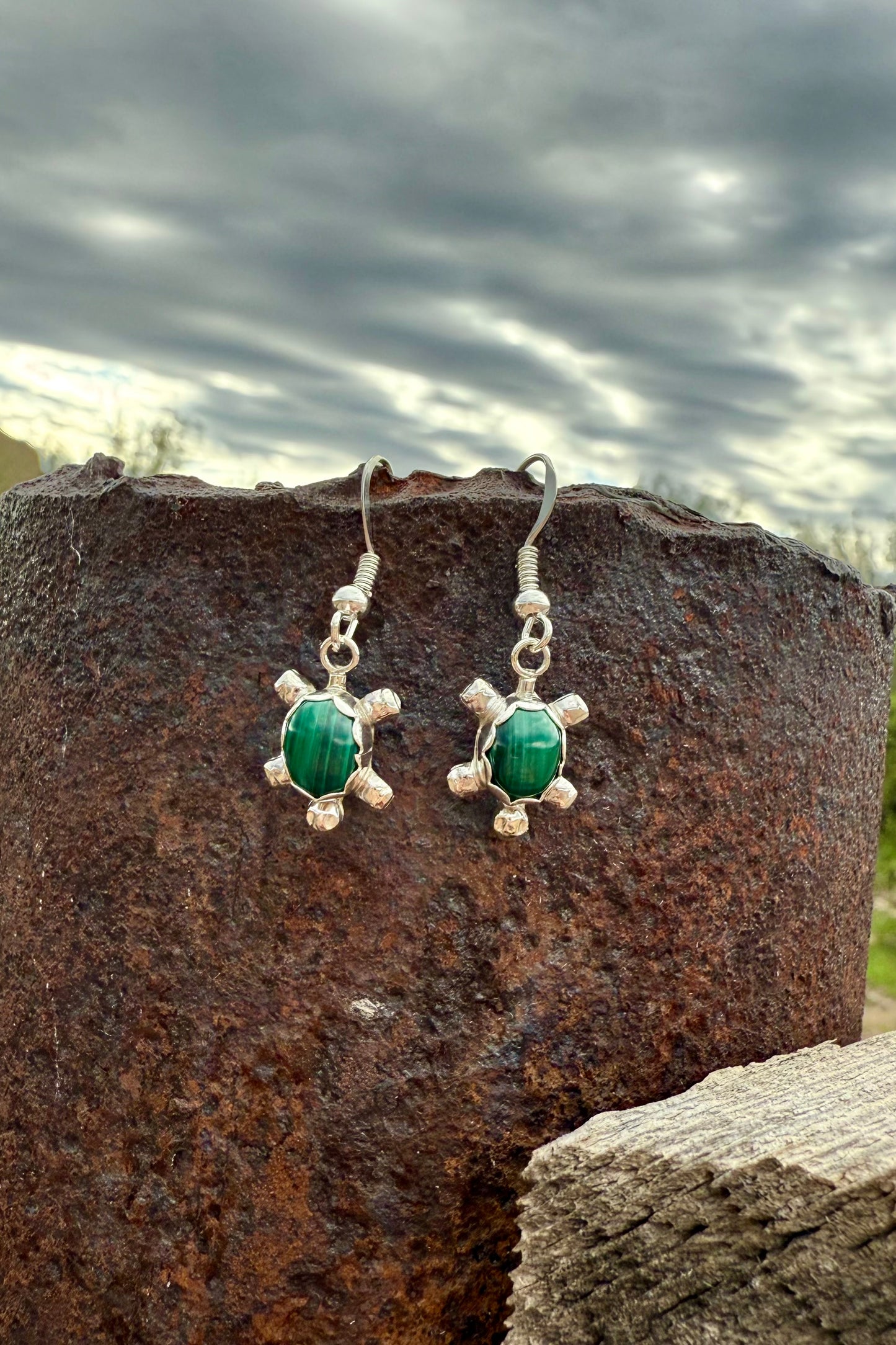 Turtle Earrings