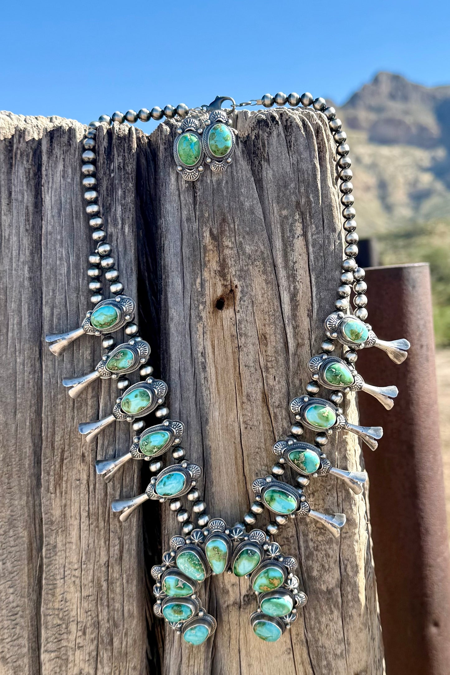 Sonoran Squash Blossom