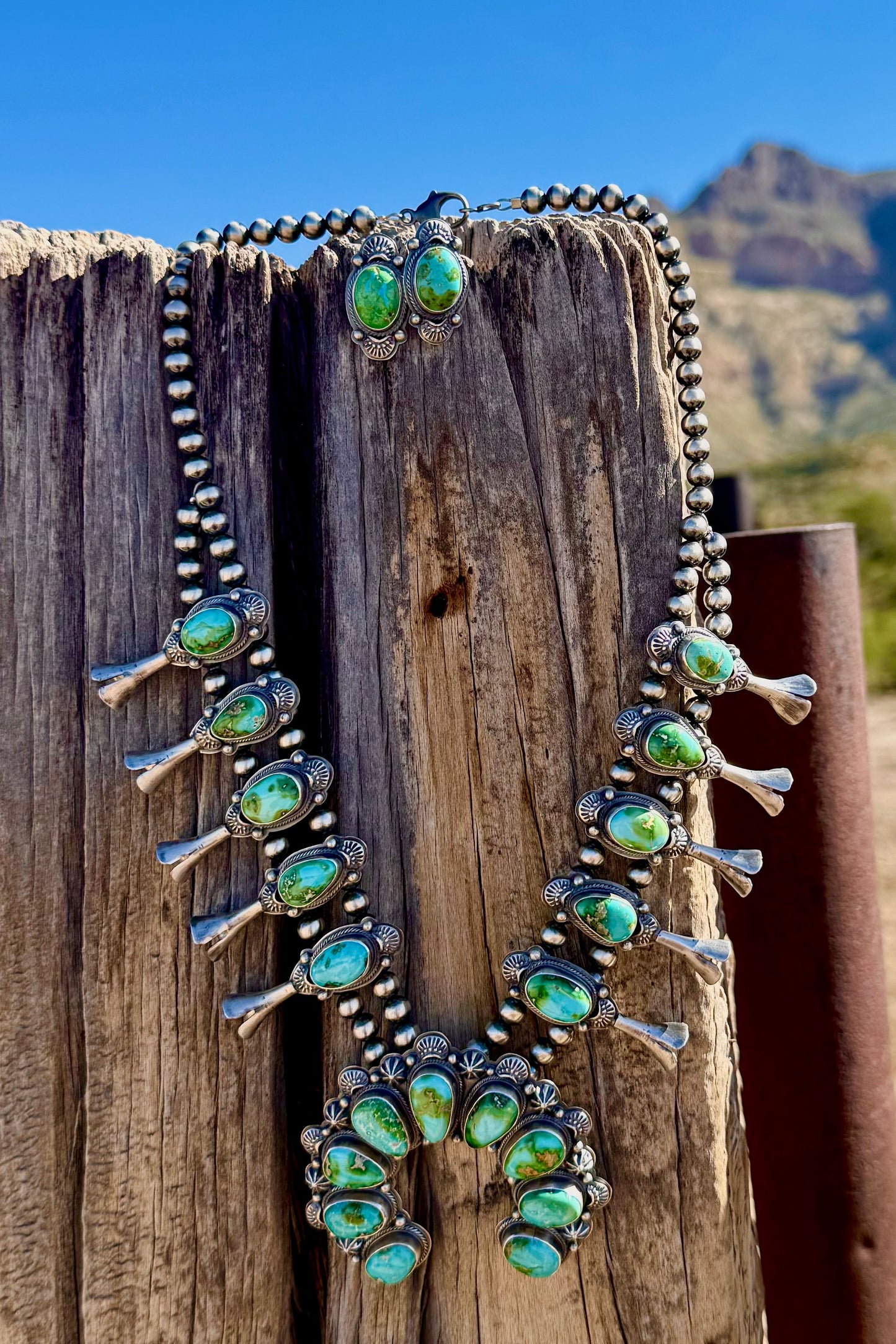 Sonoran Squash Blossom