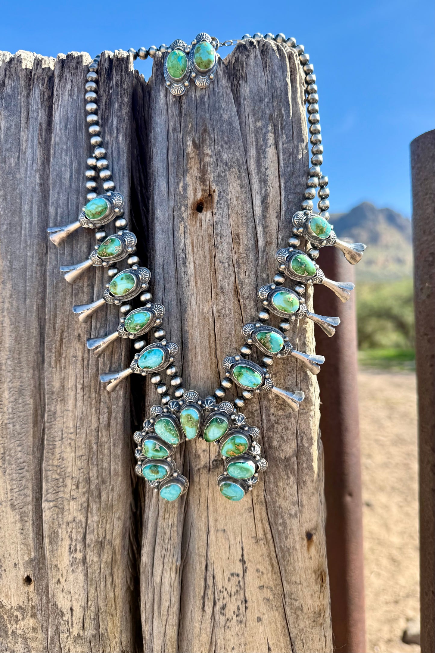 Sonoran Squash Blossom