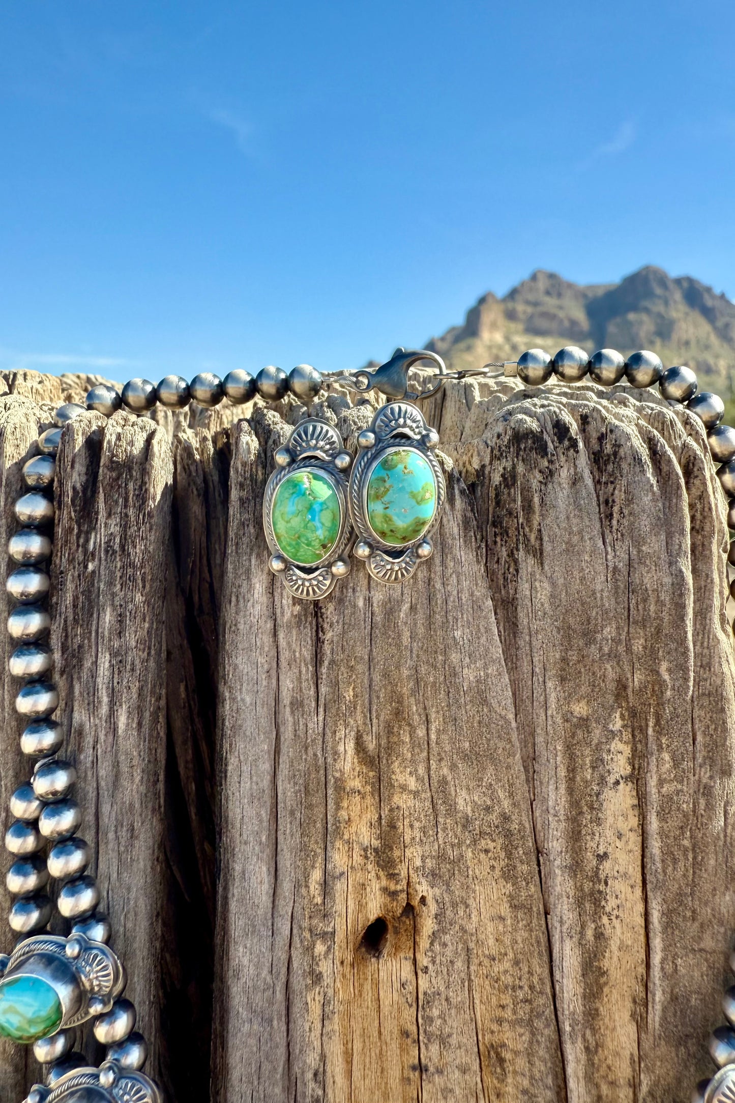 Sonoran Squash Blossom