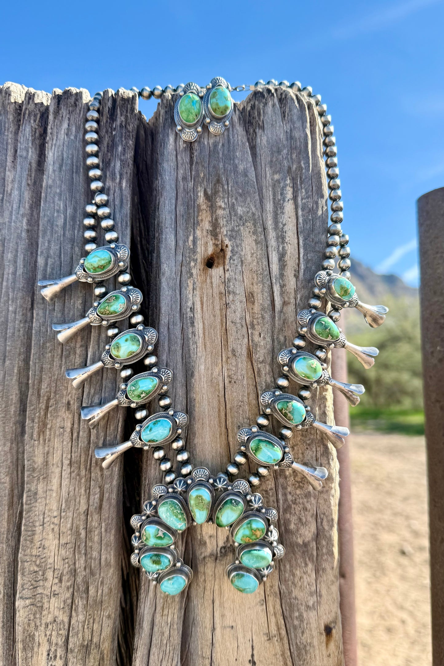 Sonoran Squash Blossom