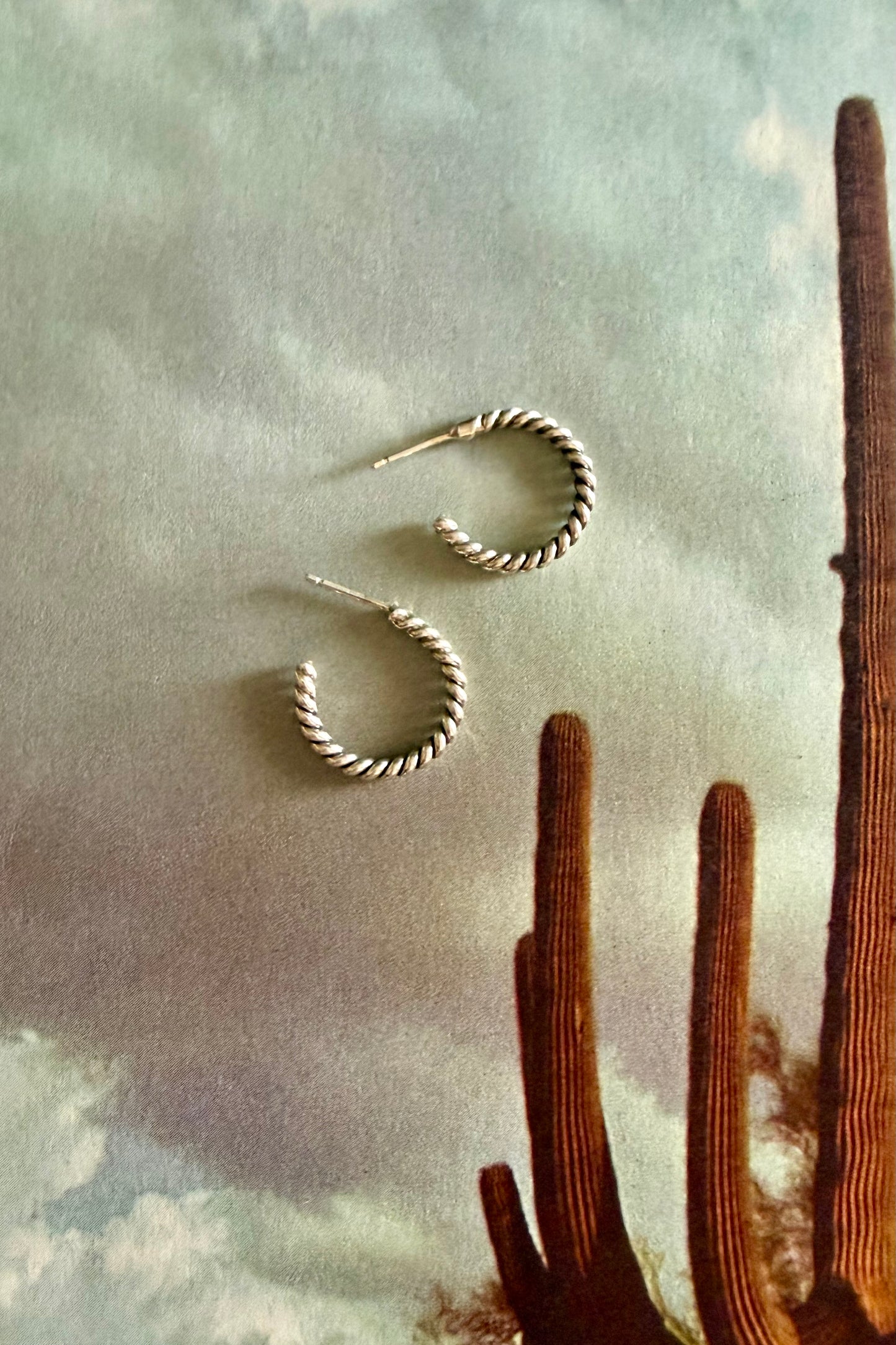 Silver Hoop Earring